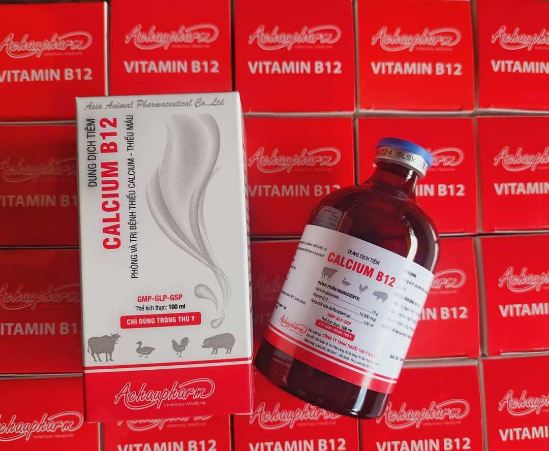 Bổ sung calcium & vitamin b12 cho vật nuôi calcium b12