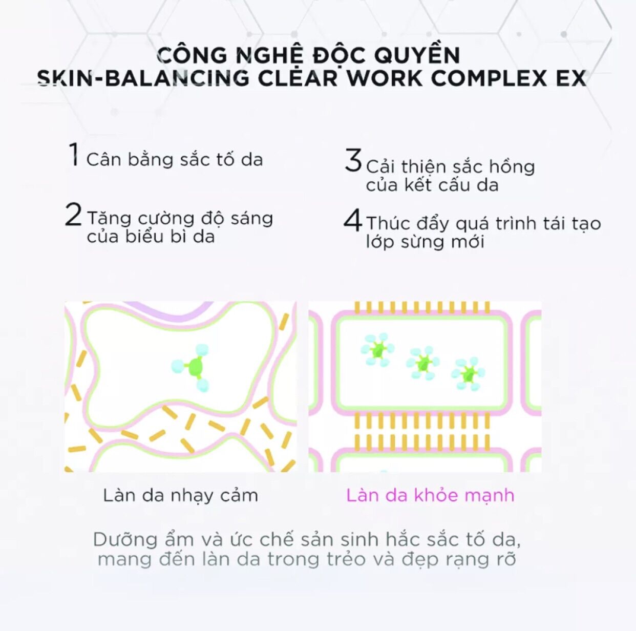 Sữa dưỡng D Program trắng da Whitening Clear Emulsion 100ml date 2023