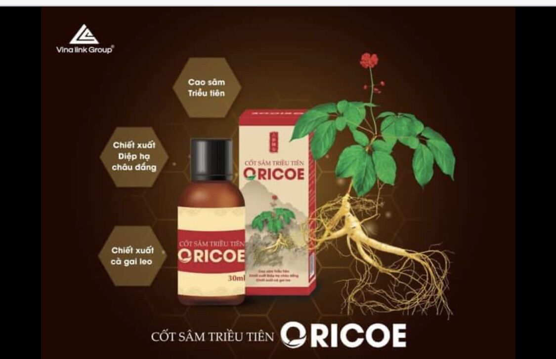 Cốt sâm triều tiên oricoe món quà ưu việt cho người thân