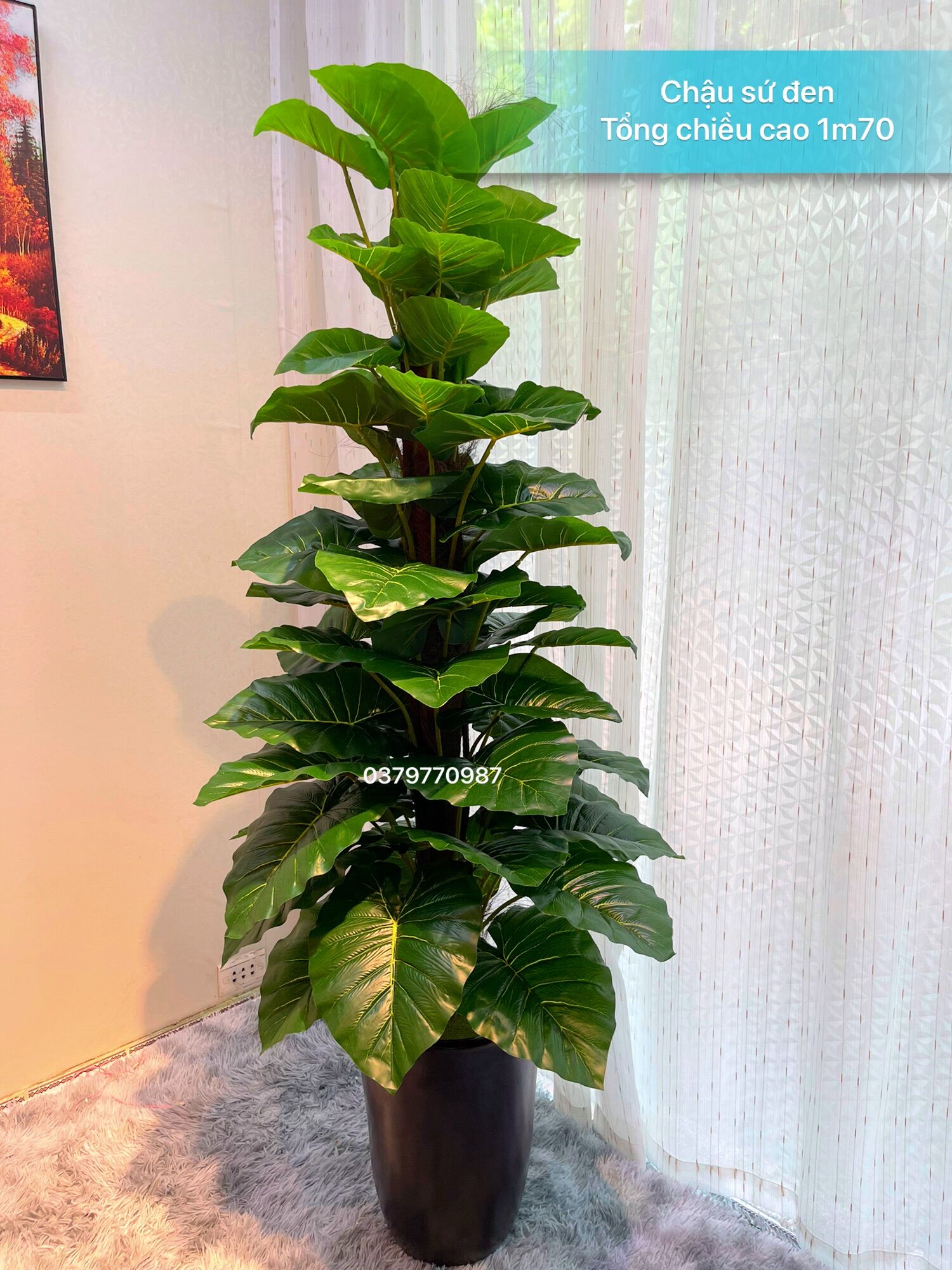 Cây Trầu Bà Cột Giả Cao 1M6