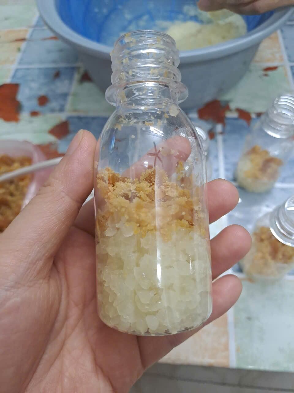 Nấm nước Kefir 50g < nấm nước mía , nước dừa>