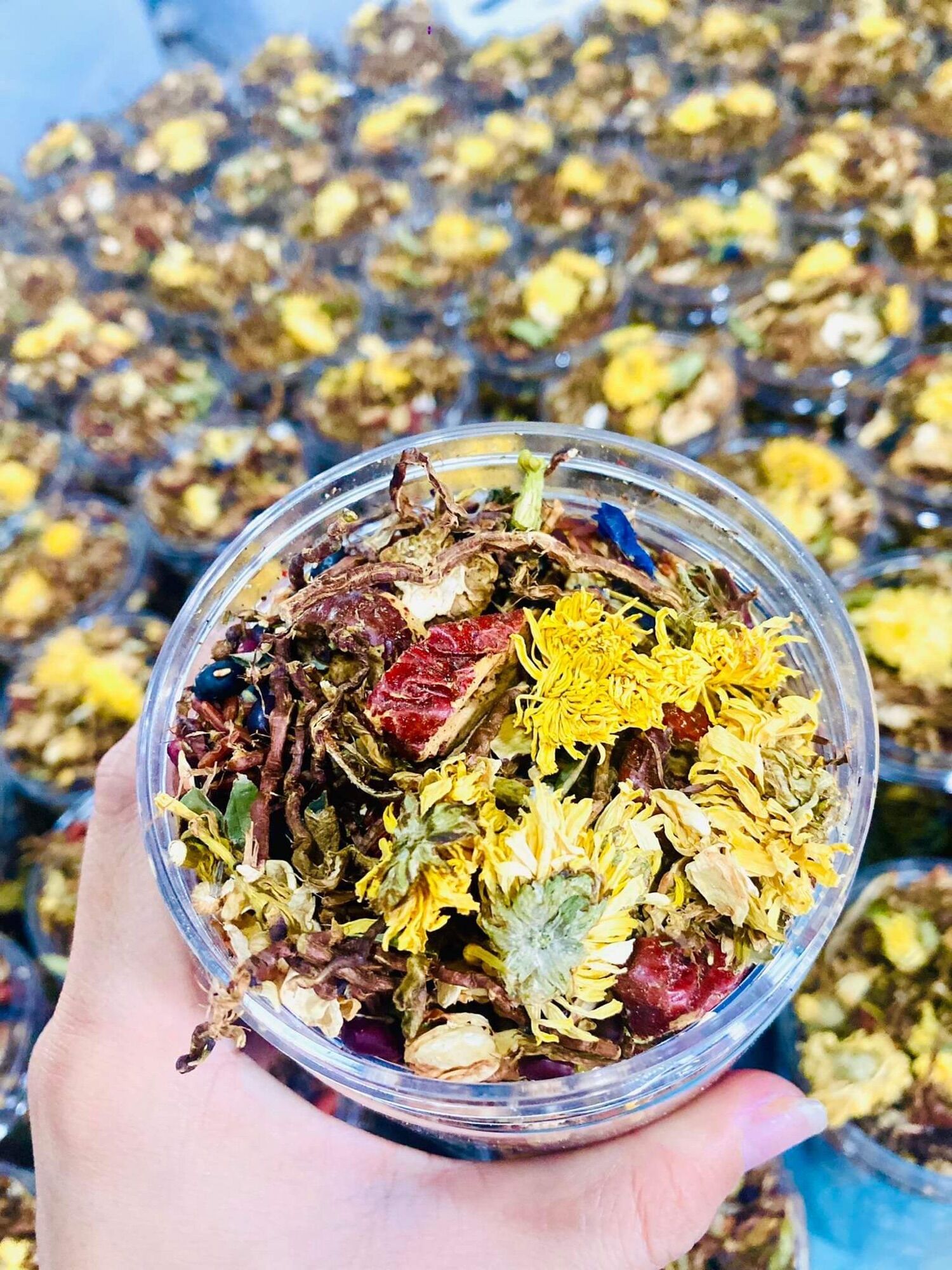 TRÀ THANH NHIỆT 27 vị 500g