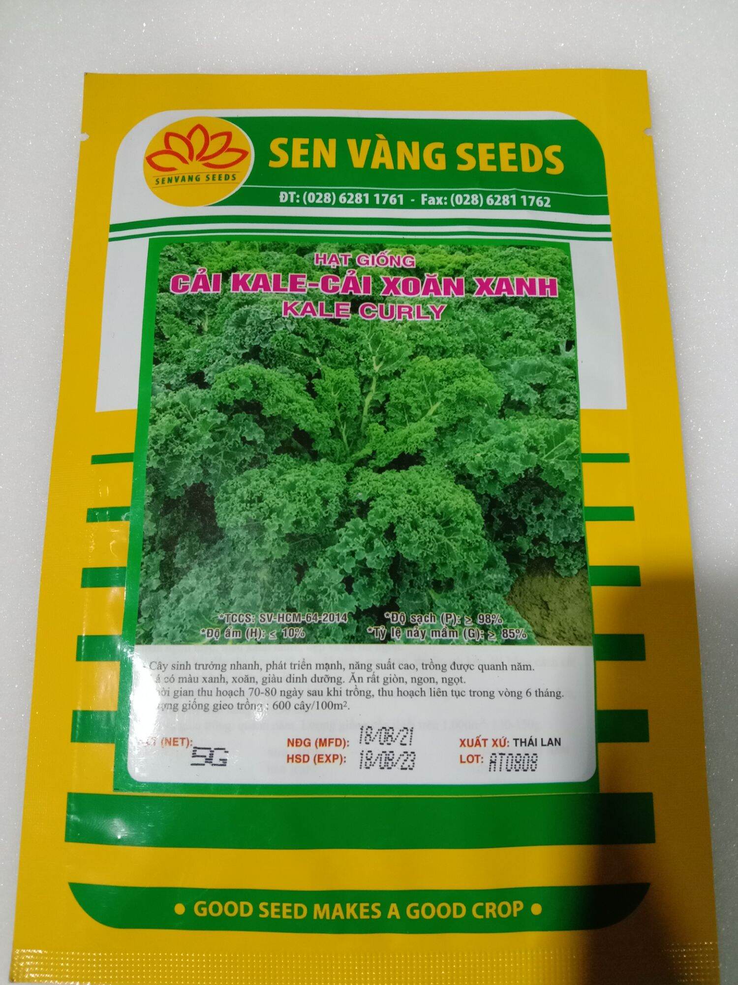 Hạt giống cải kale