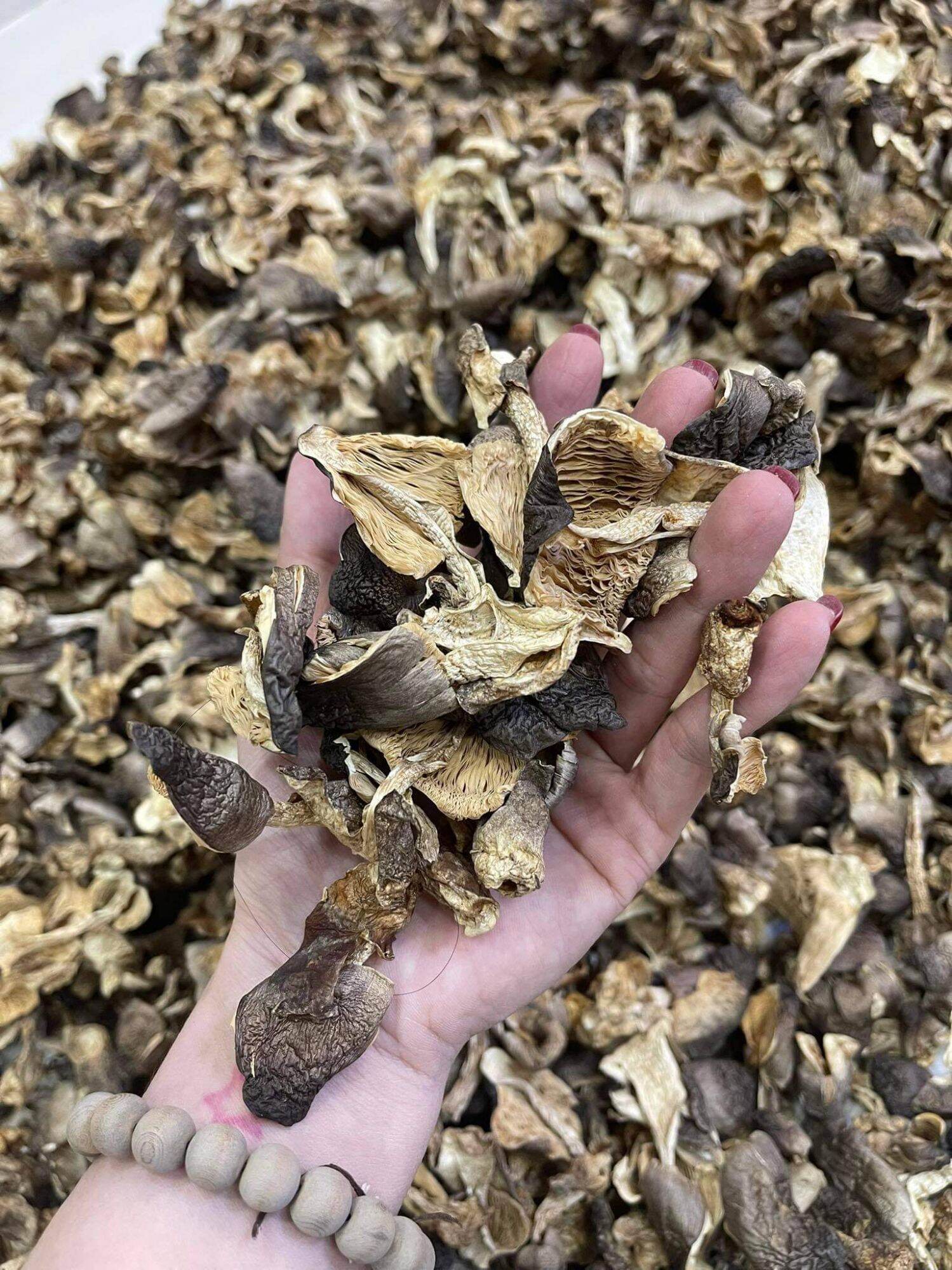 Nấm rơm nở khô an nhiên 500g