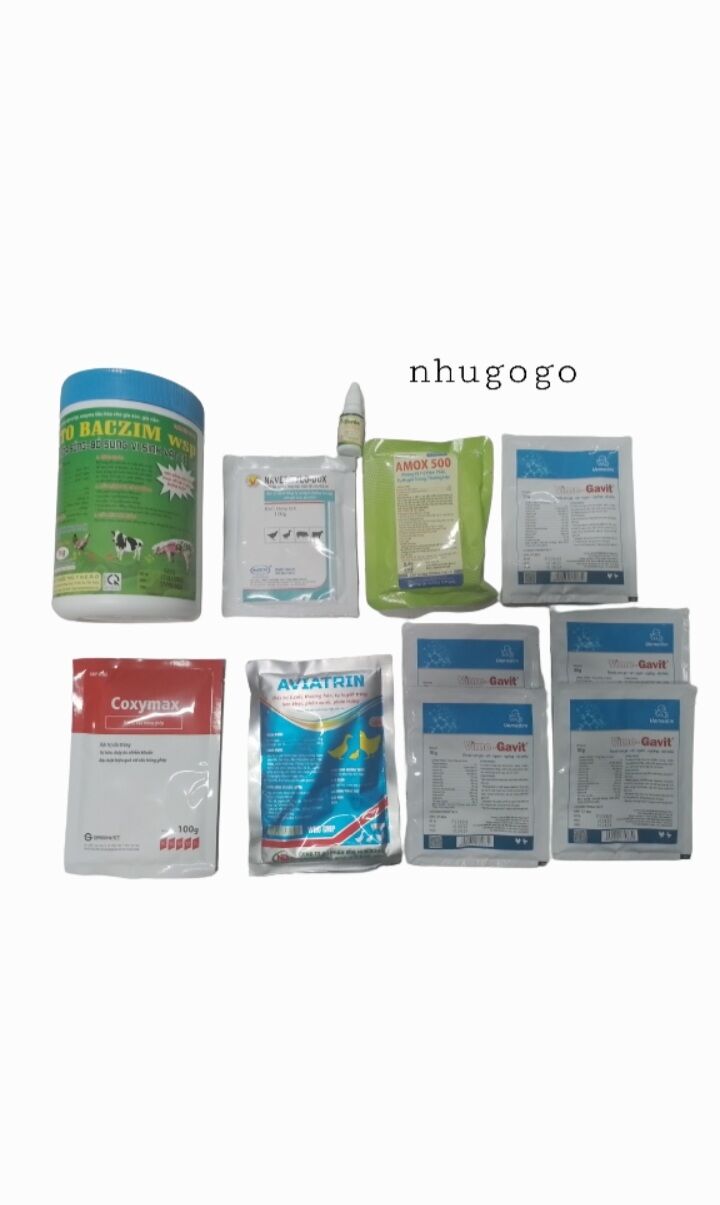 Combo úm gà combo gà sử dụng trong suốt quá trình phát triển của gà