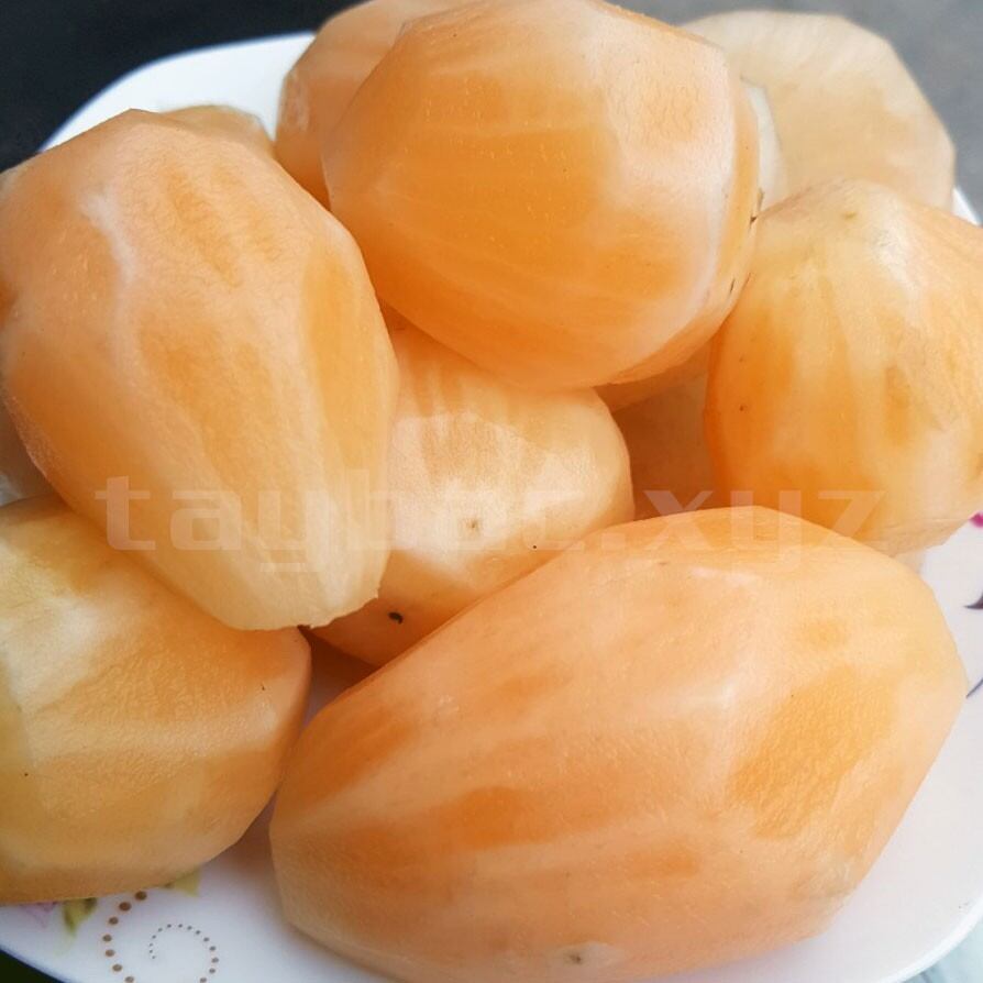 Khoai Sâm Đất đặc sản Lào Cai 1 củ to