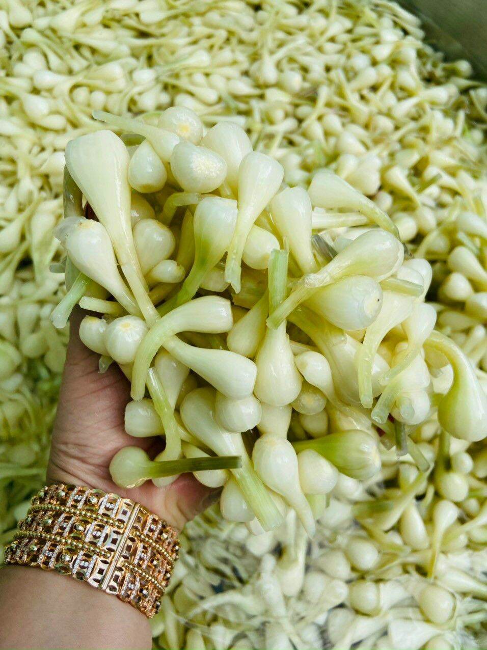 Dưa kiệu nhà làm 1kg
