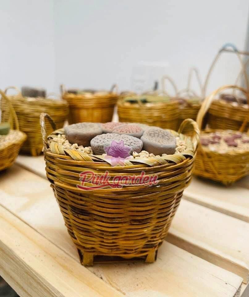 Chậu cần xé