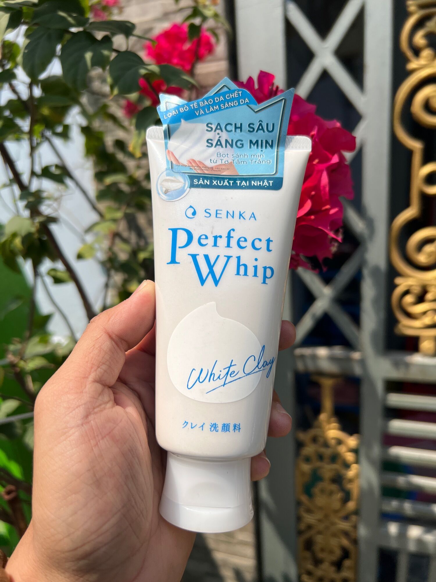 SỮA RỬA MẶT Senka Speedy 100g