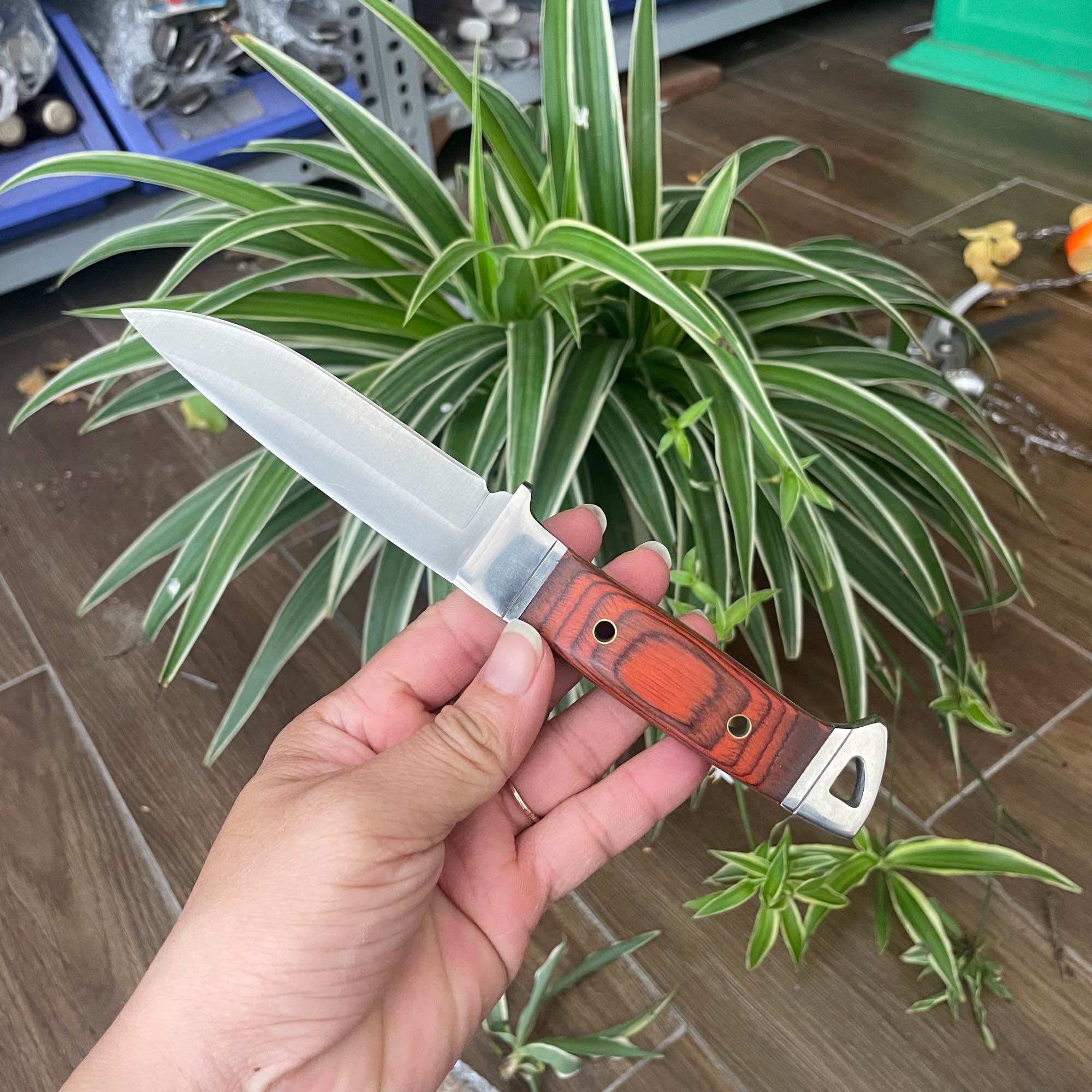 Dao gọt hoa quả có bao đựng, 19.5cm
