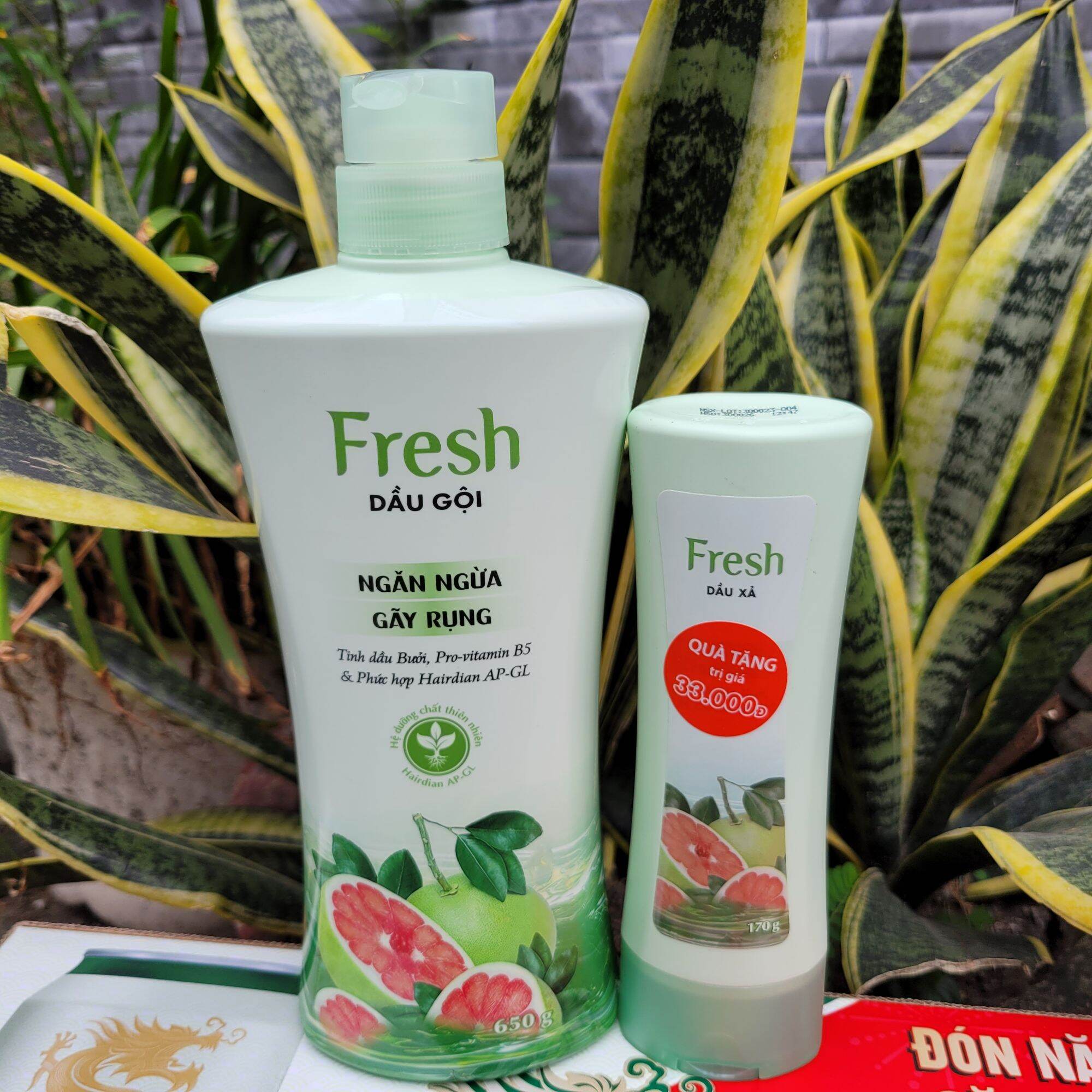 650g-dầu gội tặng dầu xả tinh dầu fresh bưởi ngăn ngừa tóc gãy rụng kích thích mọc tóc