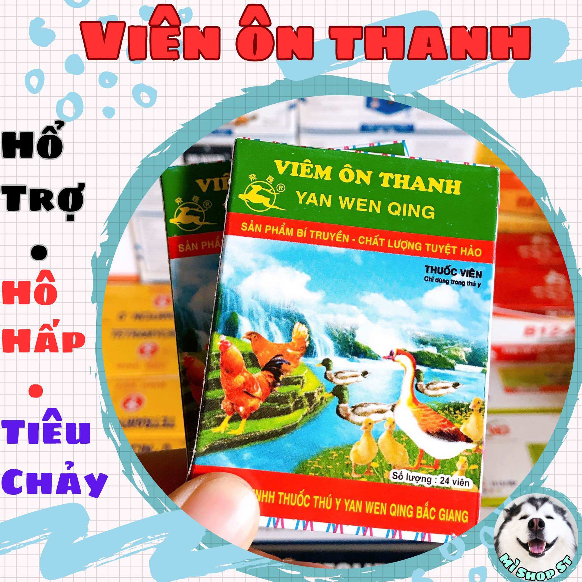 Viên ôn thanh trị tiêu chảy, khò khè, hô hấp trên gà, chim cảnh
