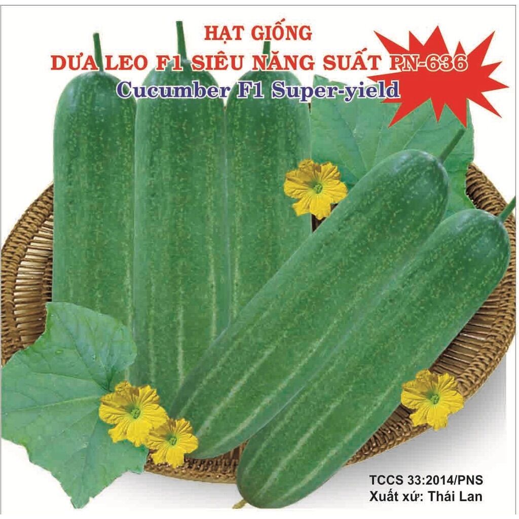 Hạt Giống Dưa Leo F1 năng suất cao