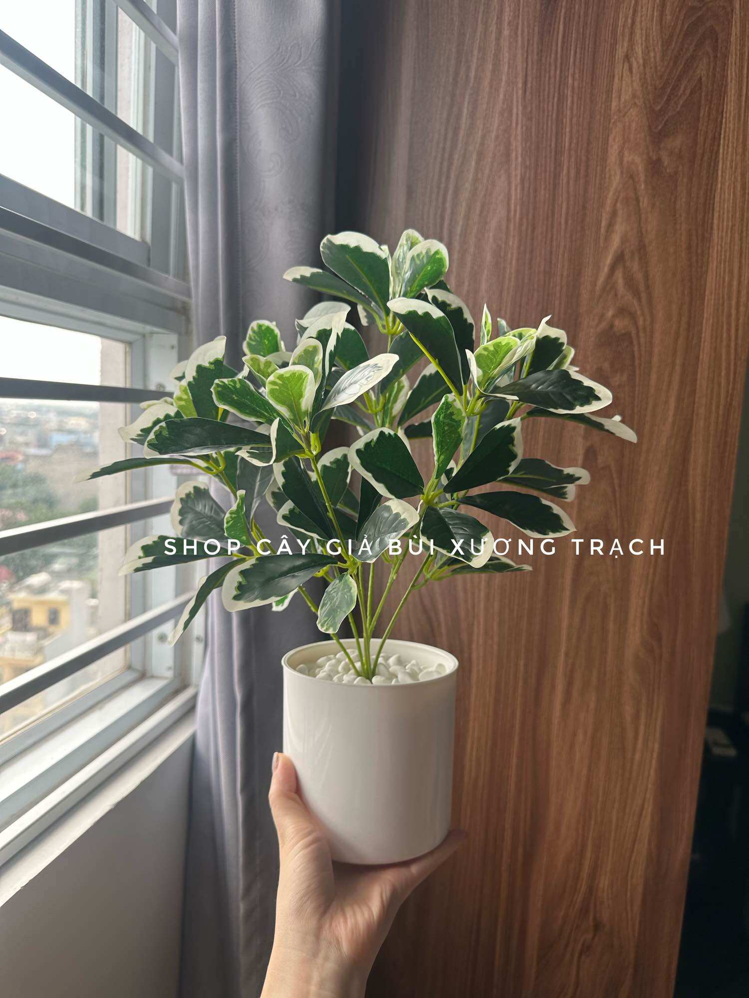 Chậu cây giả để bàn - chậu cây cẩm thạch 40cm