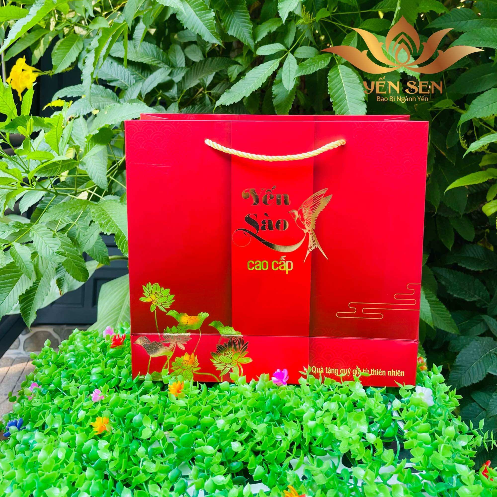 Túi Yến Sào size lớn 29 * 27 * 9
