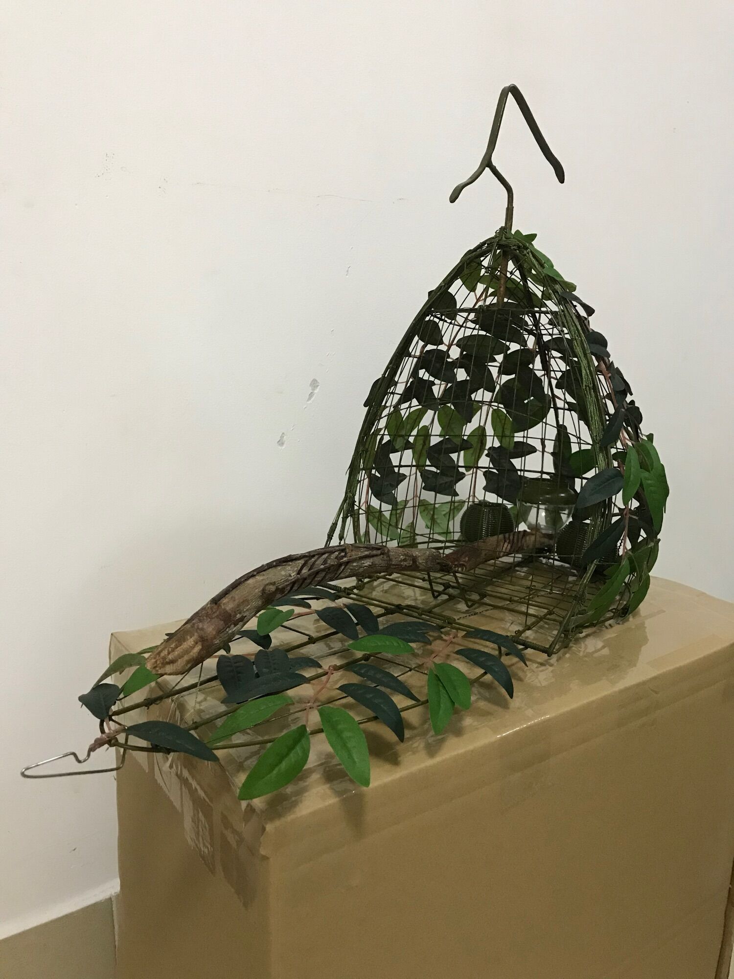 Lụp, lồng bẫy chim cu gáy