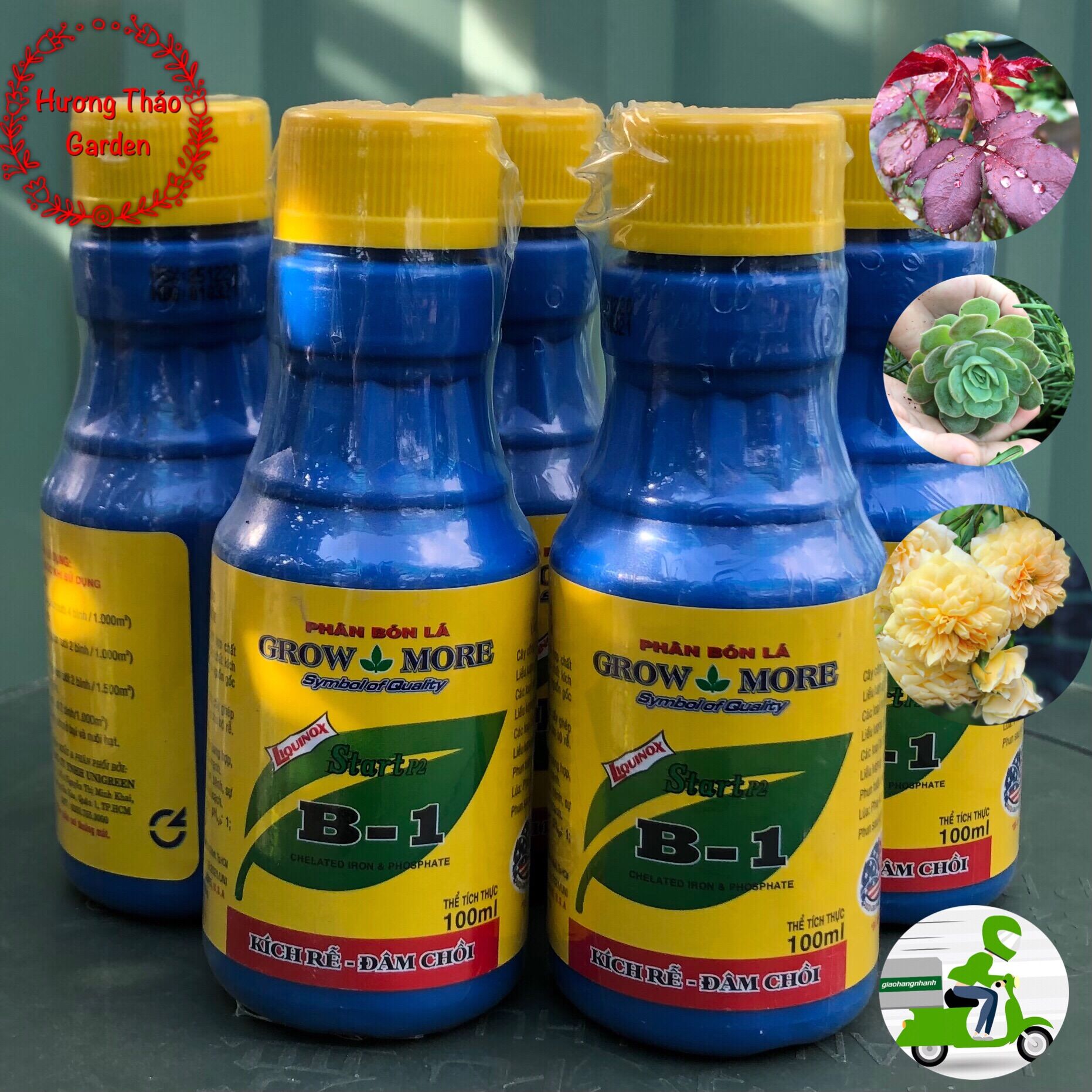 Phân bón lá b1 grow more ra rễ - đâm chồi 100ml