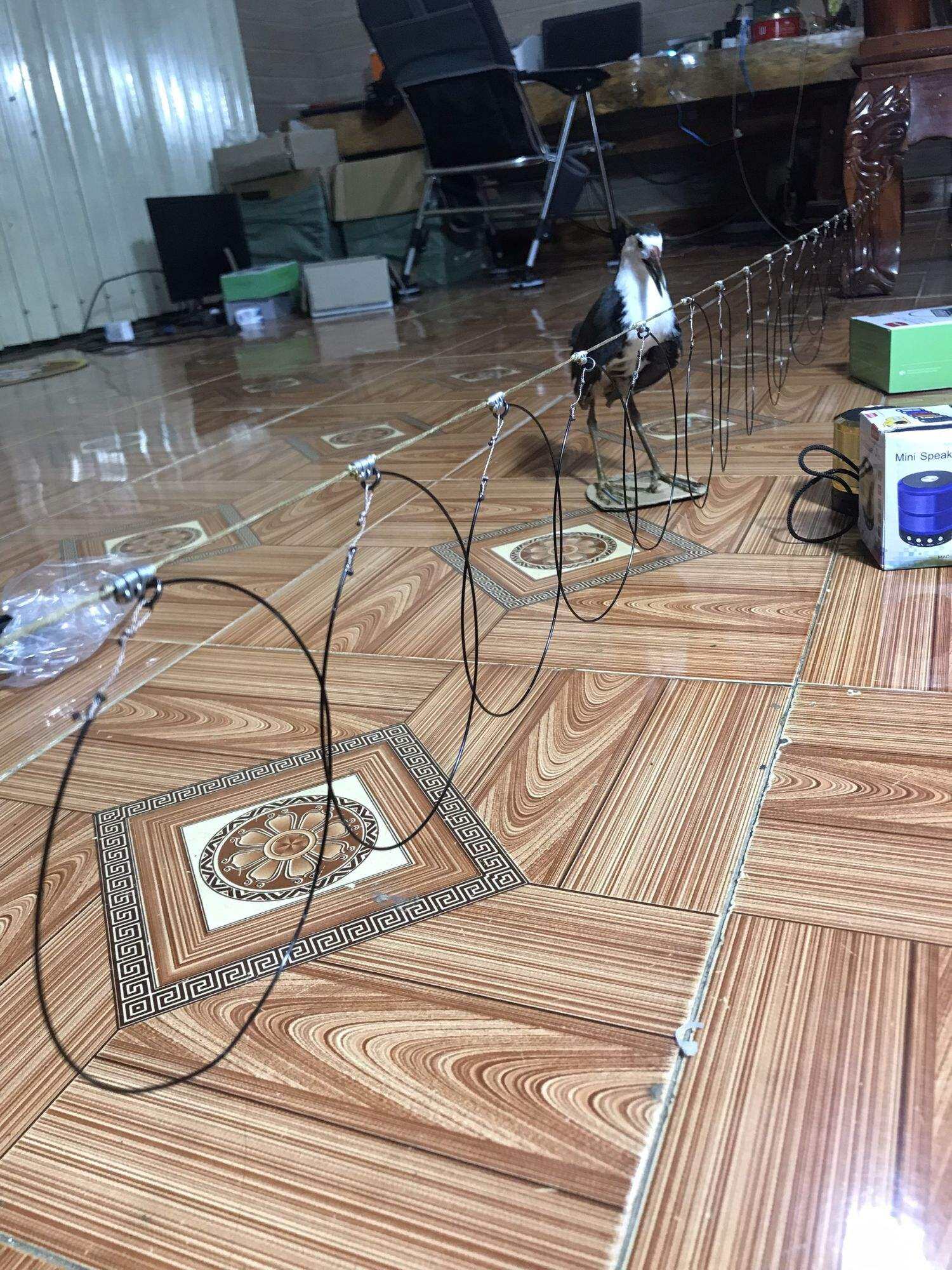 thòng dây bẫy quốc bìm bịp 20 vòng 2m