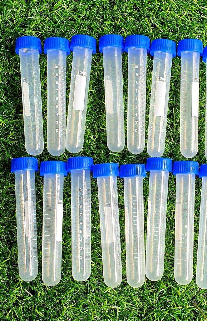 Ống trữ artermia , trữ artermia , thức ăn cho cá guppy và betta 10ml