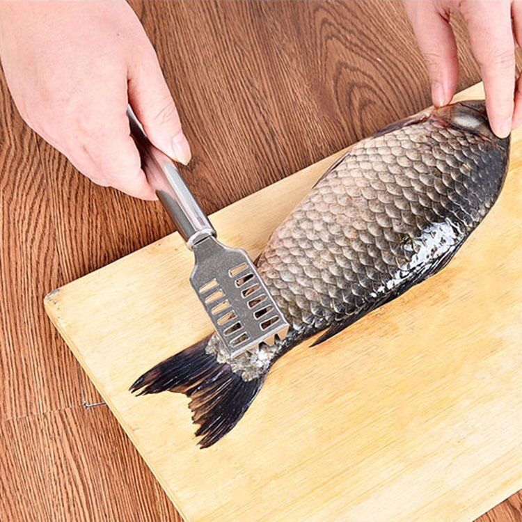 Dụng cụ đánh vảy cá chuyên dụng