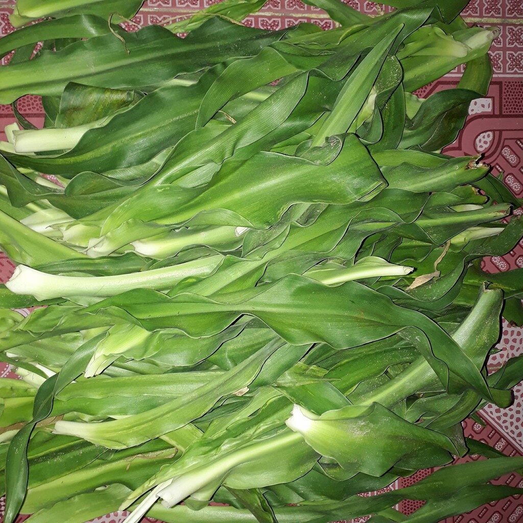 1kg lá náng hoa trắng tươi. 0975449688