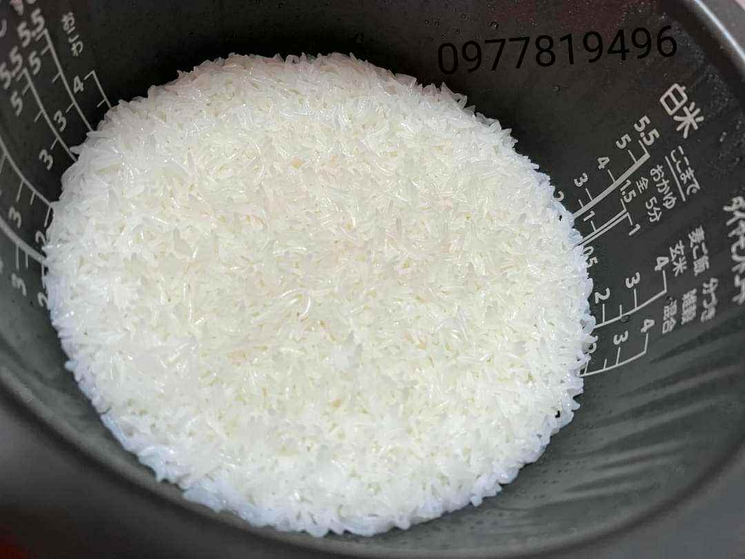 Gạo ST25 Lúa Tôm food bao 5kg