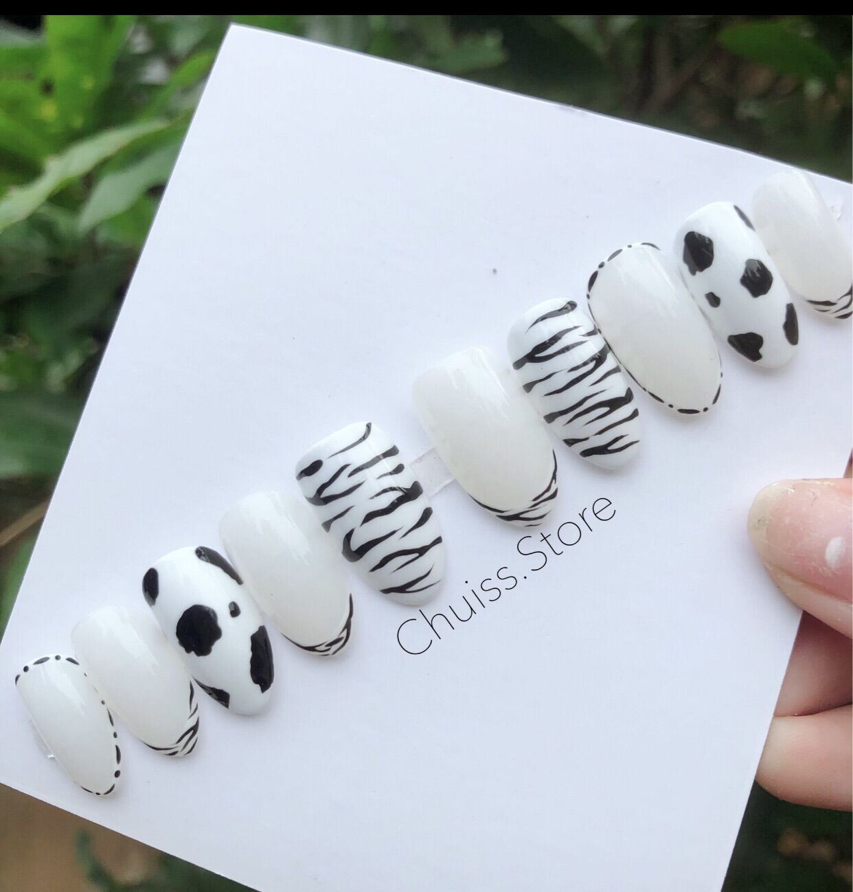 Nail box thiết kế trắng đen