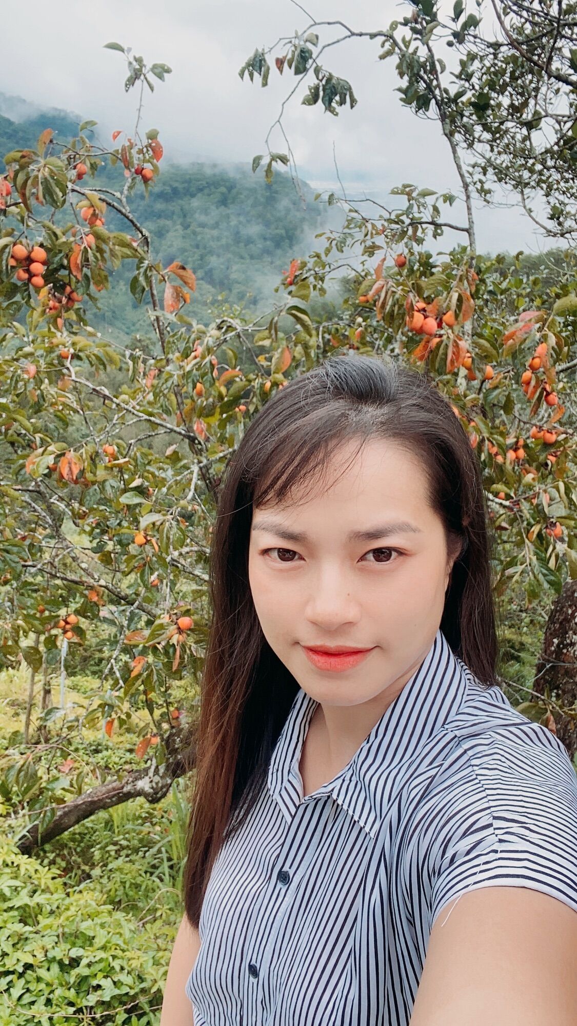 Hồng treo gió Đà Lạt gói 500g