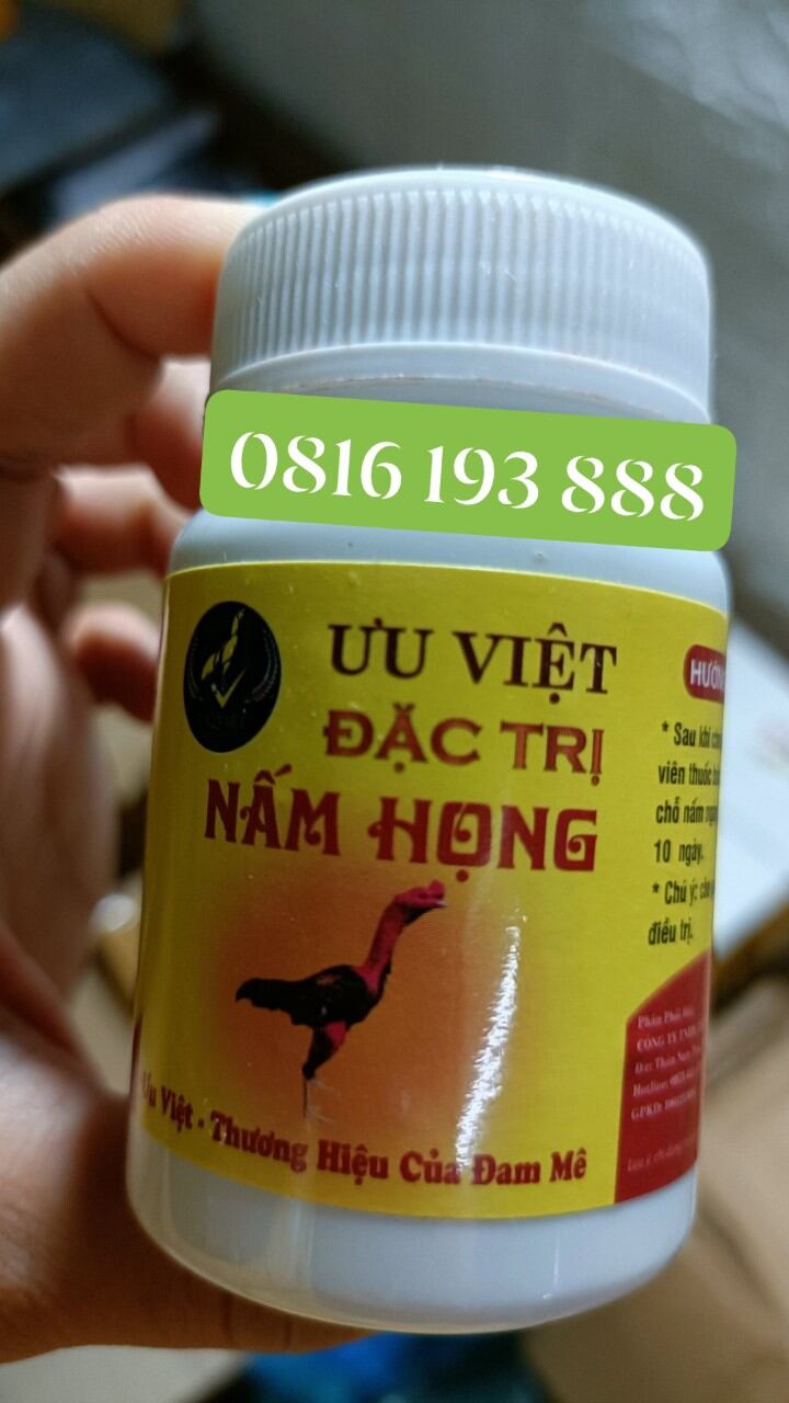 Nấm họng ưu việt