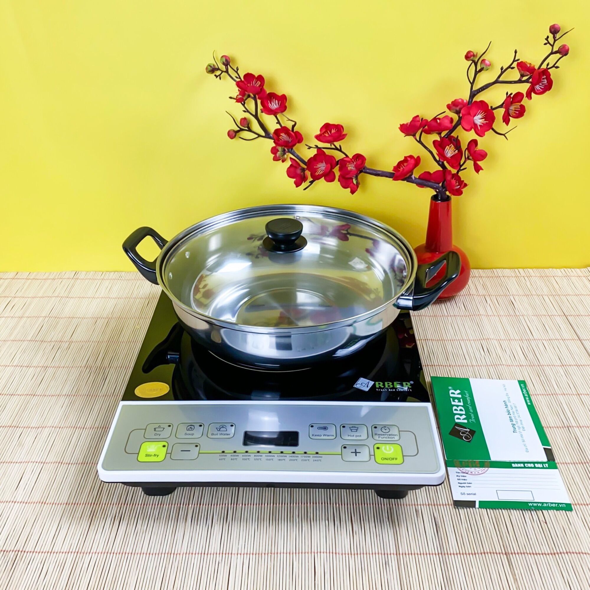 Bếp từ đơn Arber AB300