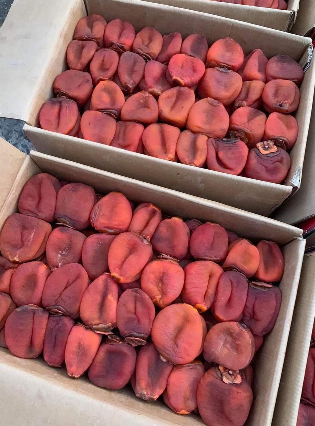 hồng treo gió đà lạt