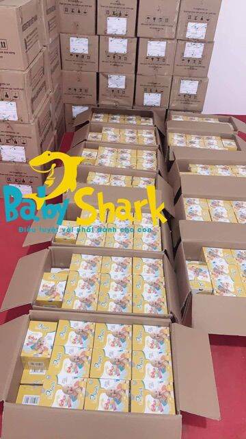 [HCM]siro baby shark mẫu mới