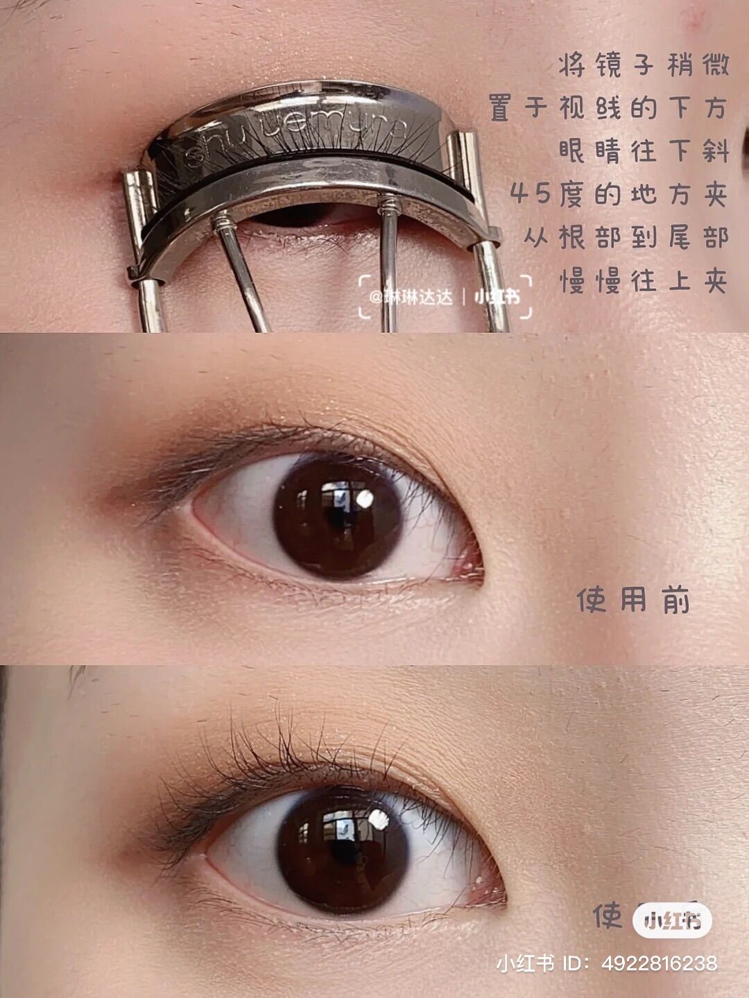 Bấm mi Shu Uemura