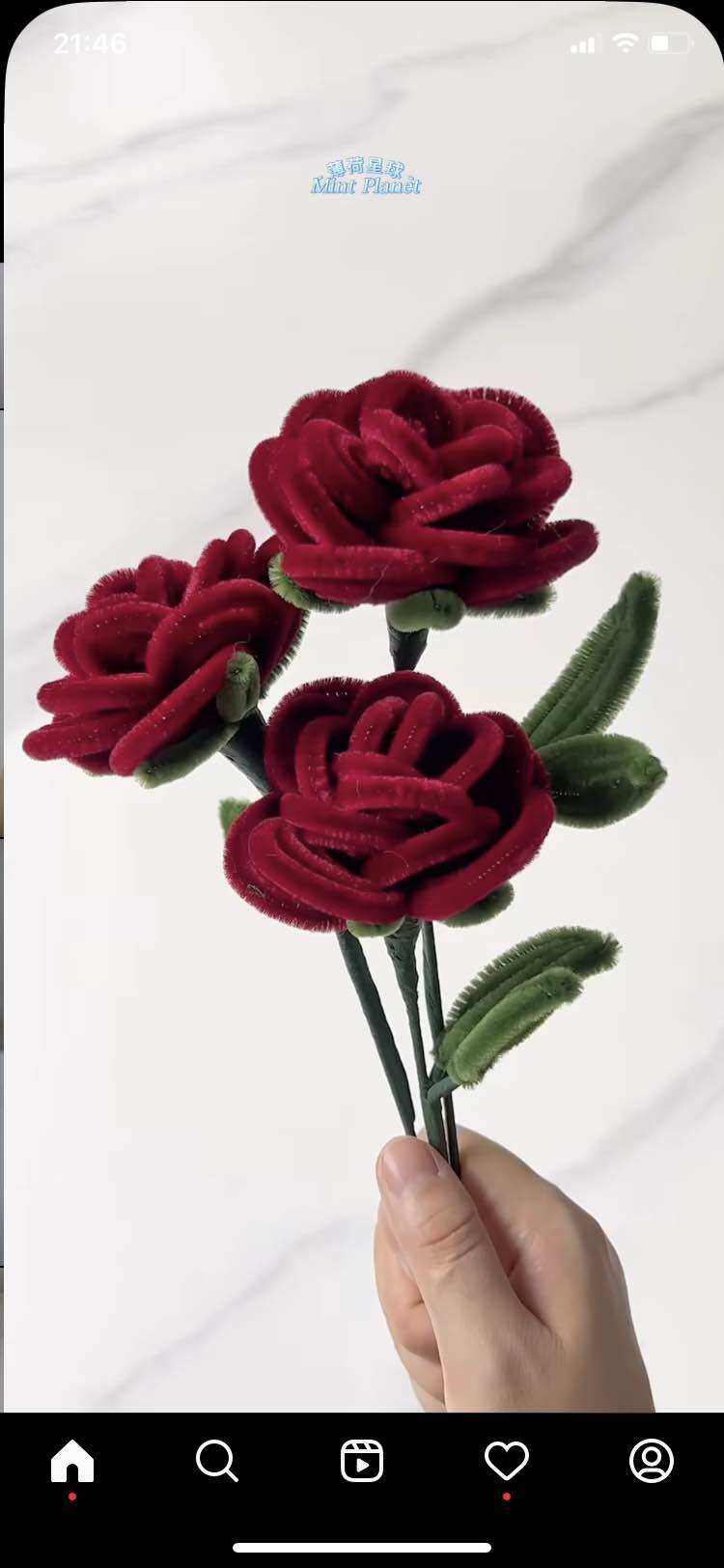 Hoa Hồng kẽm Nhung