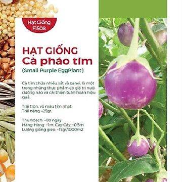 HẠT CÀ PHÁO TÍM CAO SẢN gói 1 gram
