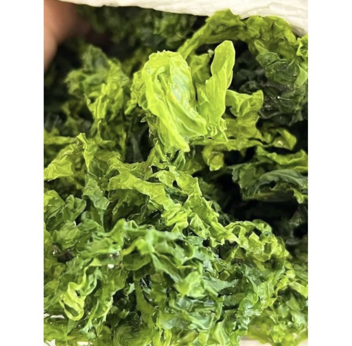 Rong biển xà lách tự nhiên_500gr