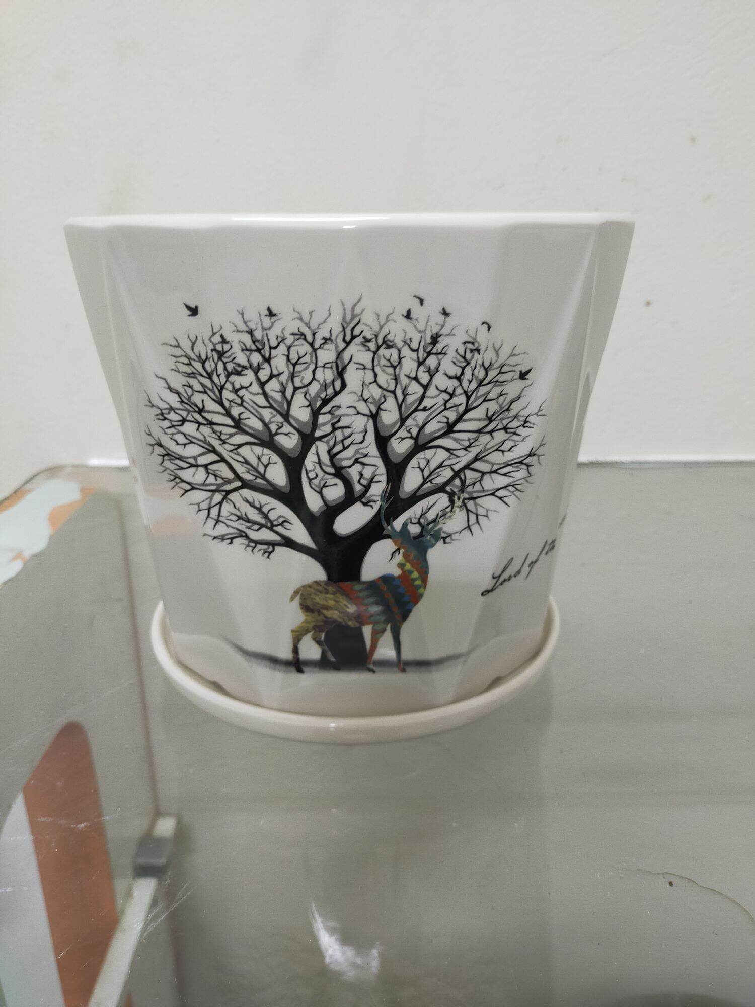 Chậu trồng cây để bàn cao cấp