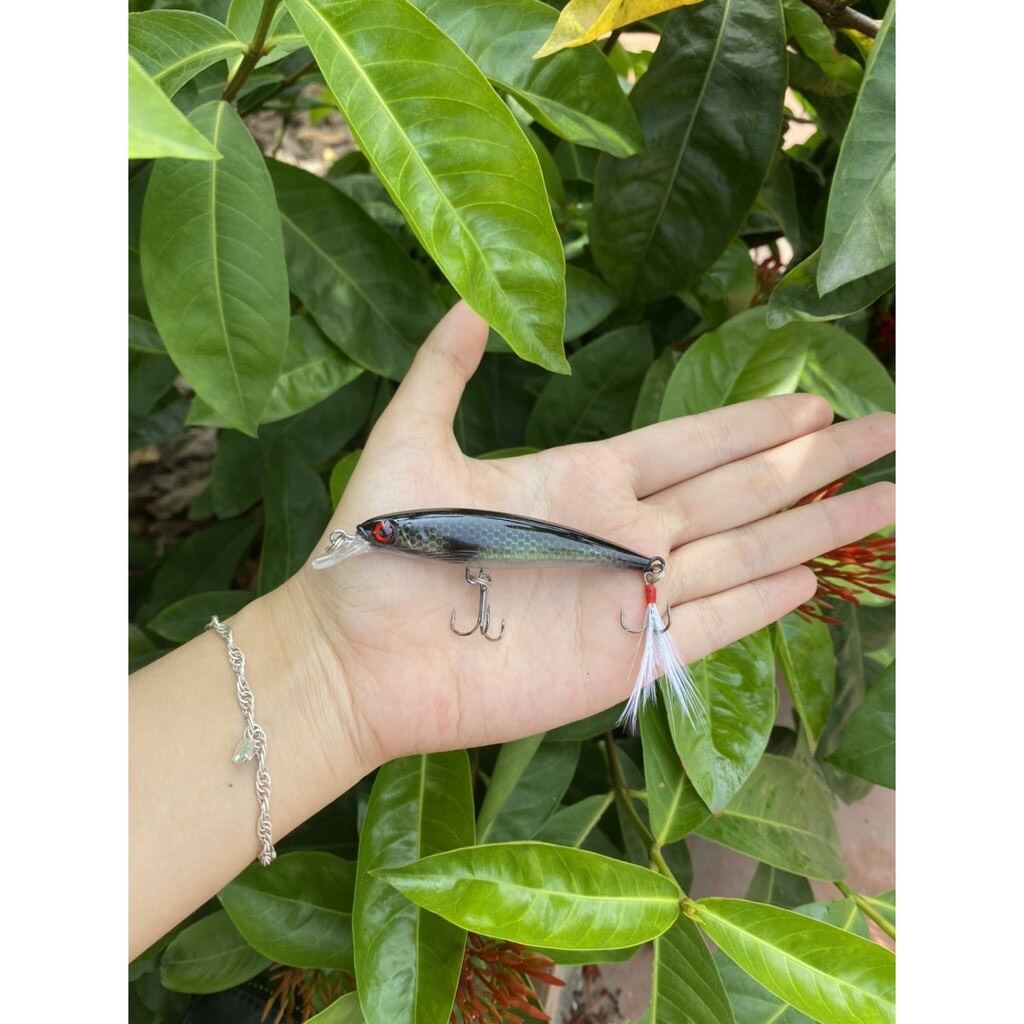 Mồi câu cá chẽm Cá Mú Cá Ngão