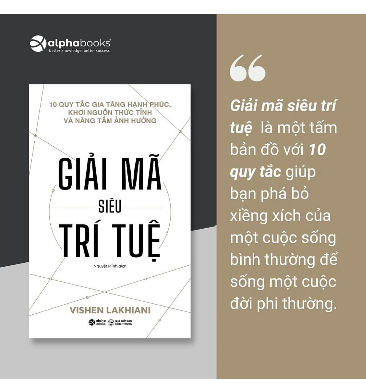 Sách giải mã siêu trí tuệ-betabook