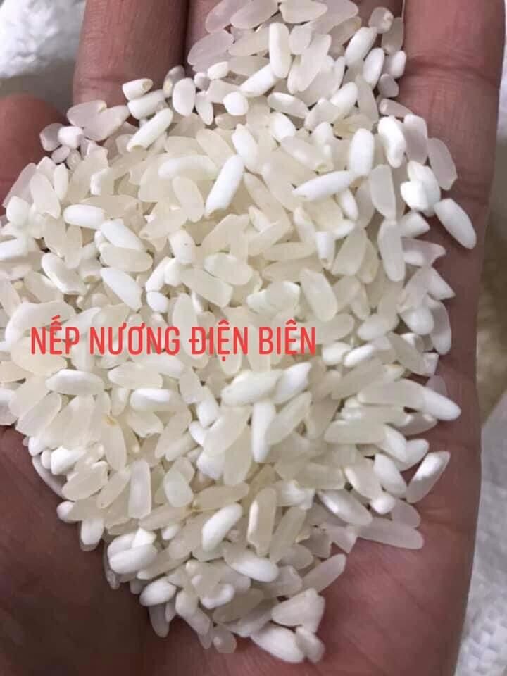 Nếp nương điện biên hàng loại 1 bao thơm ngon