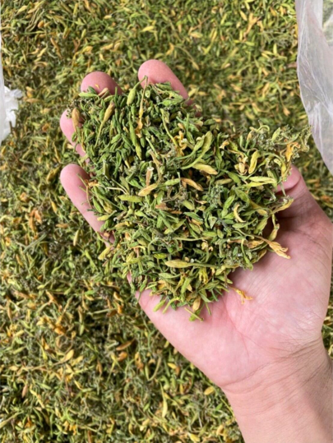 500g nụ hoa đu đủ đực khô vụ mới hàng đẹp