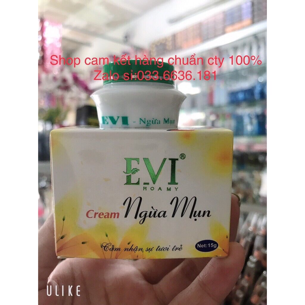 Kem evi ngừa mụn hủ 15g