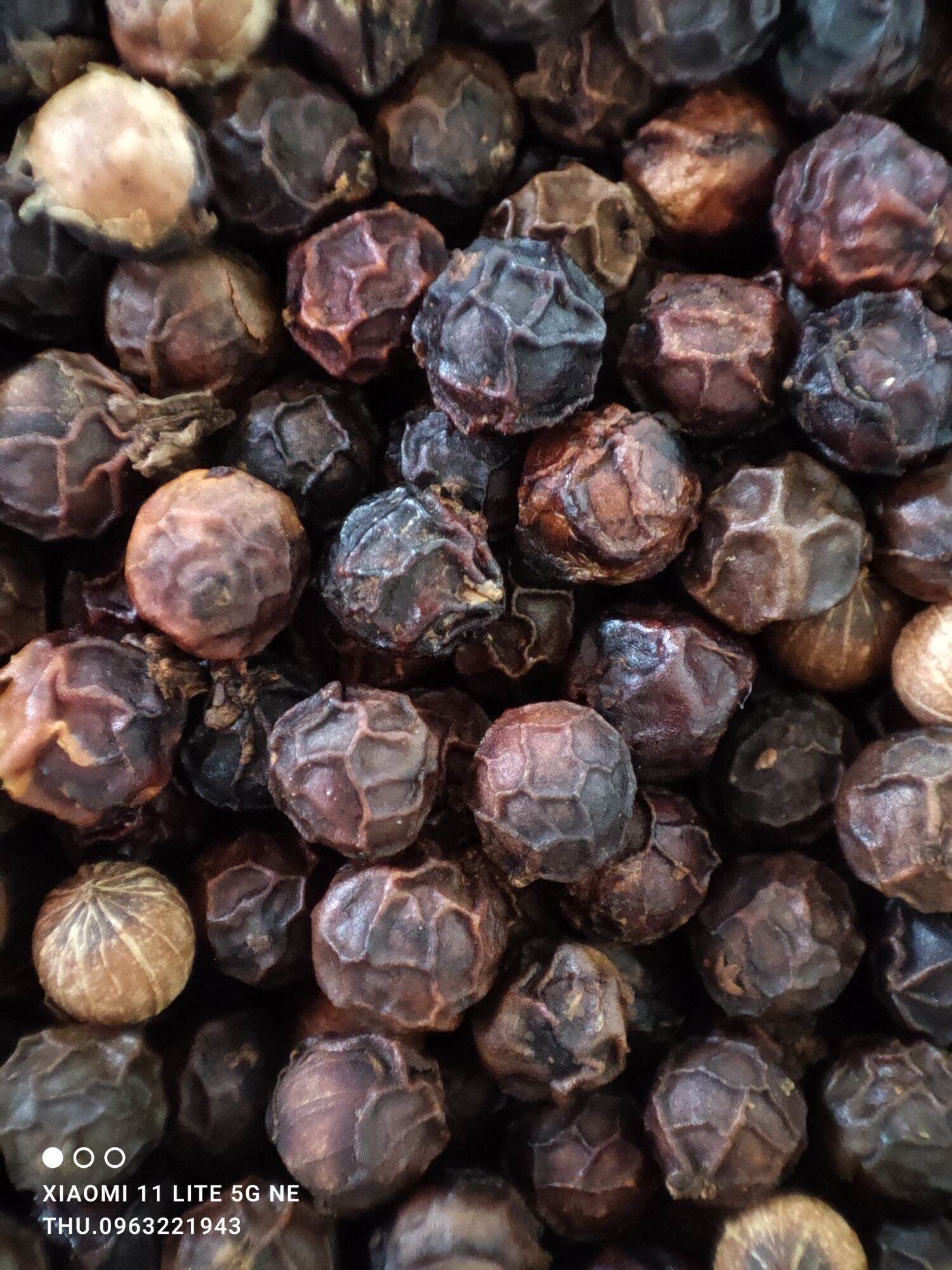 500g hạt tiêu đen nhà trồng chín đỏ