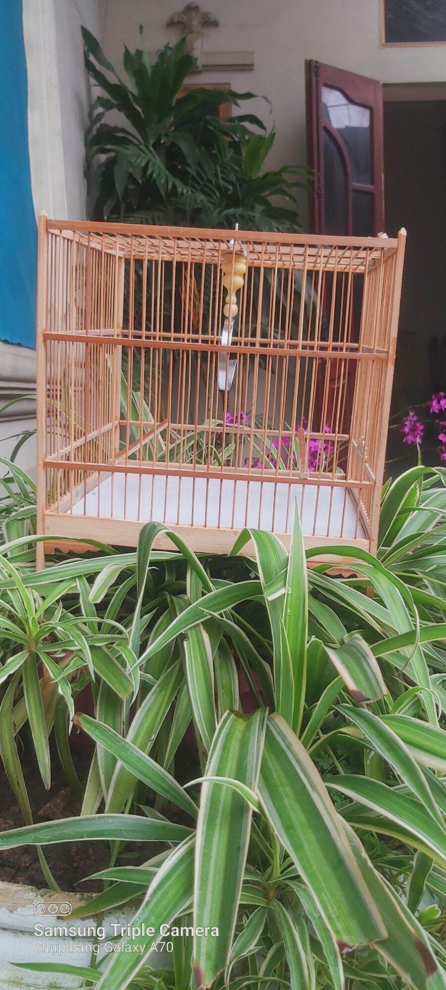 Lồng vuông cho khuyên, yến, hút mật, hoa mai tặng kèm cầu, cóng , áo, xiên