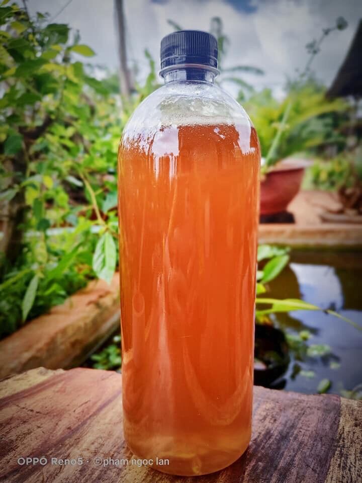 1 lít mật ong ngon hoa cà phê đăklak