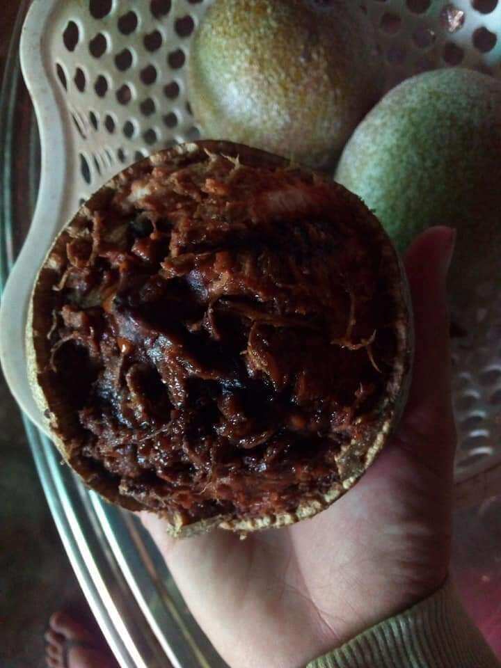 2 trái Quách chín cây