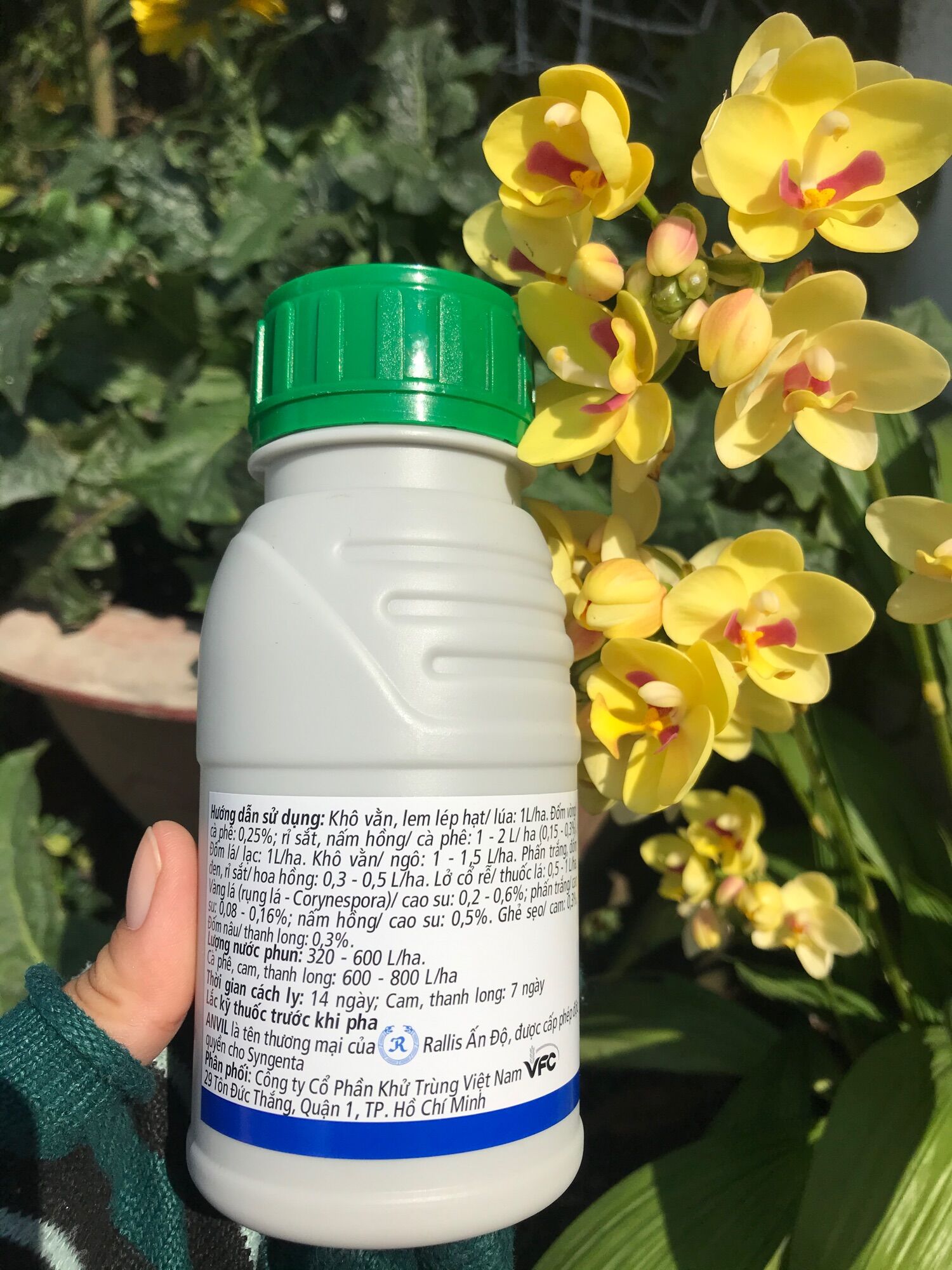 Anvil 5SC chai 250ml