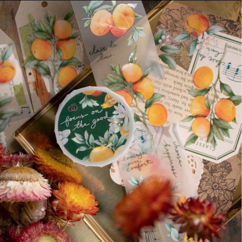 Chiết 1 chu kì washitape Loidesign Focus on the good