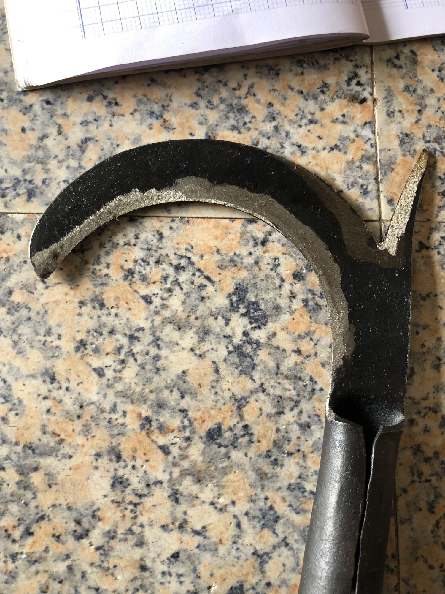 Cu Liêm đực dừa