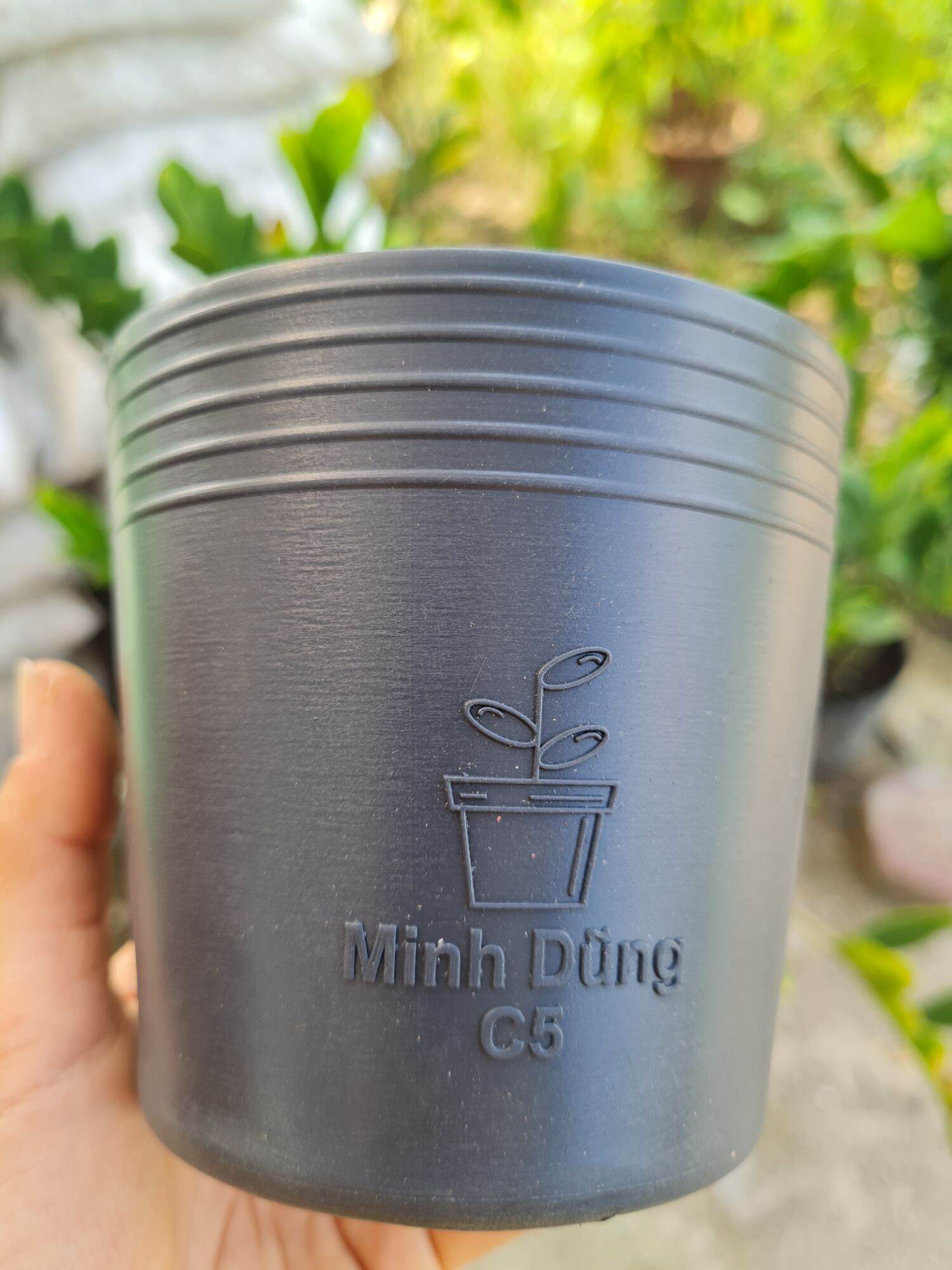 Com bo 10 bầu cứng ươm cây c5 kt 10x10cm